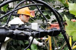 電力菁英服務(wù)上?！皠?chuàng)意產(chǎn)業(yè)”發(fā)展