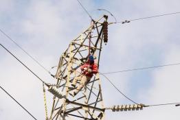 多舉措防鳥害 保電網(wǎng)安全