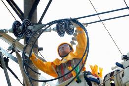 帶電作業(yè)服務政府重點建設項目