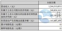 天順風(fēng)能上半年凈盈利2.41億元 同比增長13%