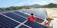 真相大白：光伏真的躺著都能賺錢？