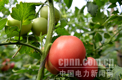 W020171110530420414036