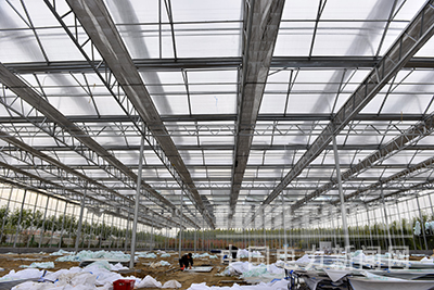 W020171110530420414727