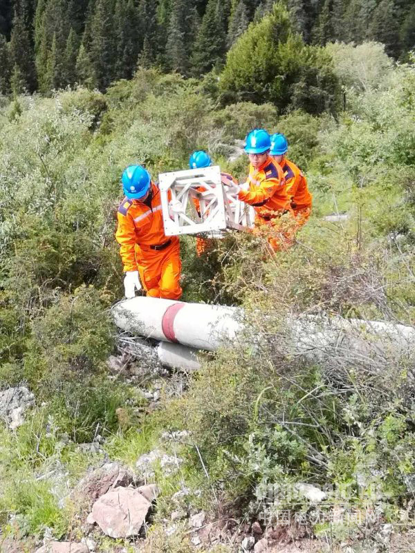 W020170810495825655903