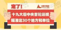 定了！華電集團(tuán)、中核集團(tuán)將接受十九屆中央第一輪巡視