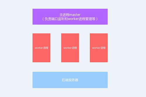 今天我們就來聊聊Nginx服務(wù)器的架構(gòu)！