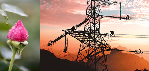 南方區(qū)跨省跨區(qū)交易，2018年會是待放的玫瑰嗎？