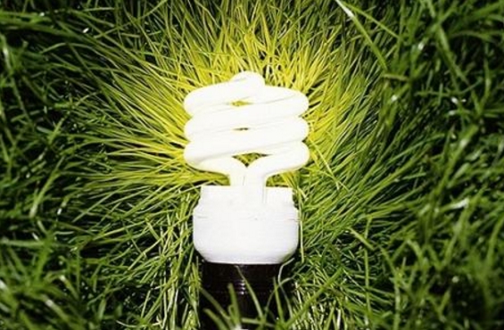 綠證能否突出重圍？