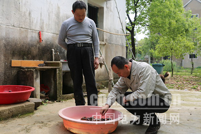 郎溪供電:一縷陽光的溫情