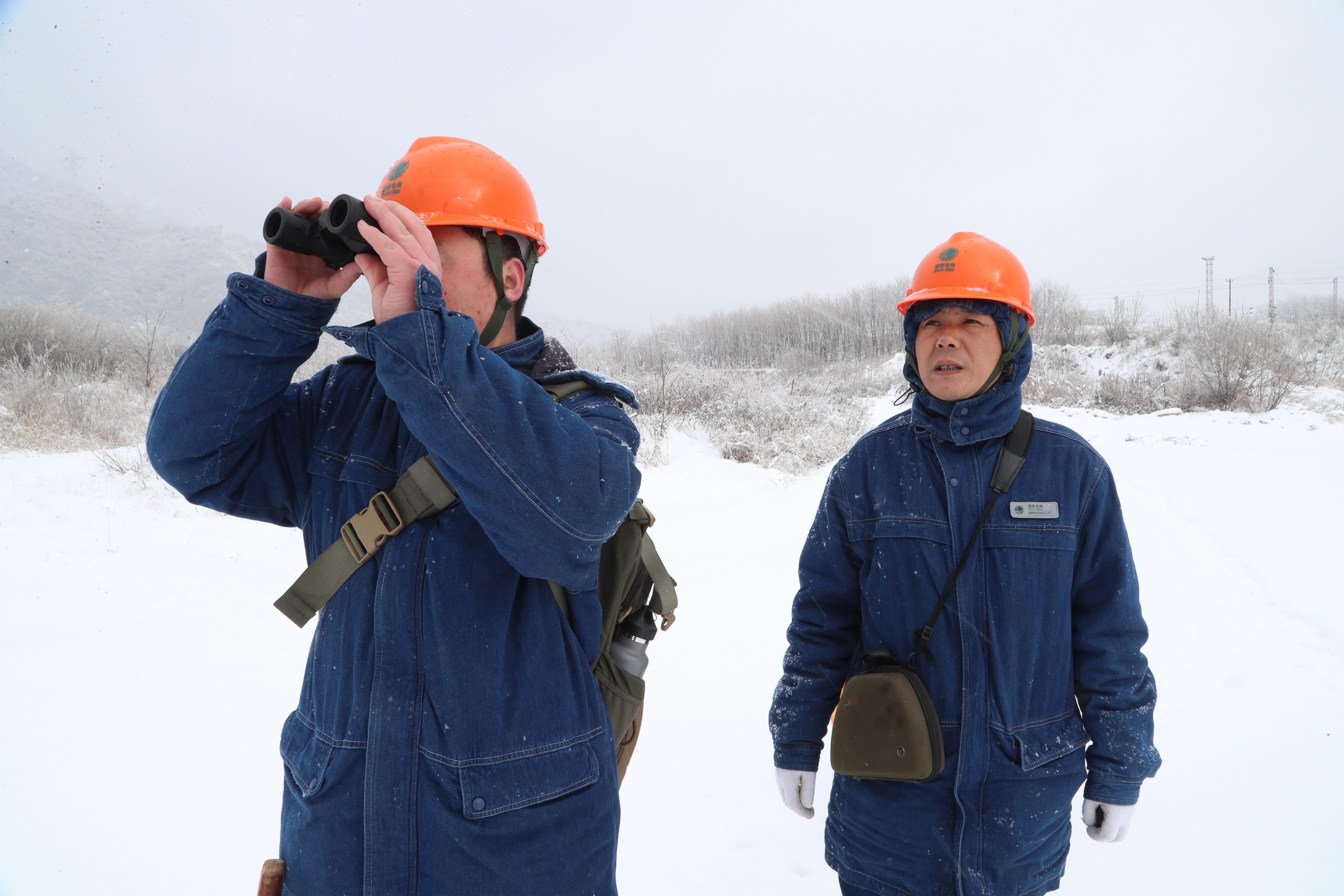 寶雞供電：大雪中最美的堅守