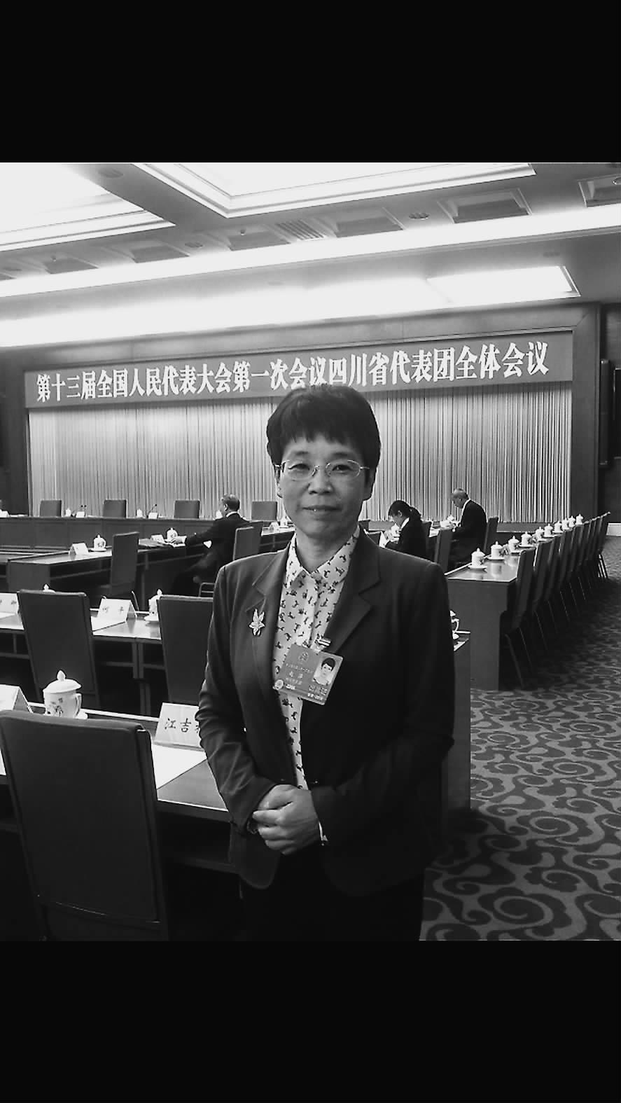 兩會訪談丨趙萍：系統(tǒng)降本促風電高質量開發(fā)