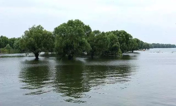 湖南連發(fā)兩道“總河長令”：整治洞庭湖排污源，保護(hù)飲用水源