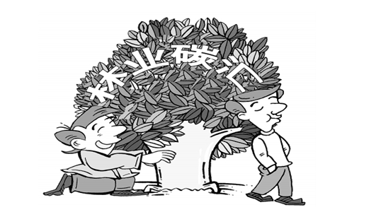 林業(yè)碳匯CCER項目如何參與碳交易獲得補貼來賺錢