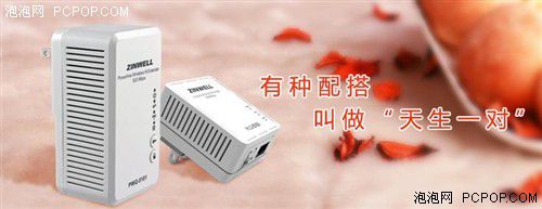 電力貓的版本眾多，從電力線傳輸技術(shù)上就可以分為HomePlug和G.hn，采用相同電力線通信技術(shù)的電力貓還可以分為有線電力貓和無線電力貓，而在無線電力貓中還有無線AP和無線路由的區(qū)別。外觀功能上的區(qū)別就更大了，以ZINWELL為例，就先后推出了單口有線電力貓，帶電源延長線的電力貓，多口有線電力貓，電力貓無線路由器，無線AP電力貓，帶電源插座的電力貓等。