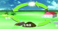 生物質(zhì)是替代核電、火電 彌補天然氣缺口的一種重要新能源