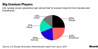 核能或成為特朗普貿(mào)易戰(zhàn)的下一個目標行業(yè)