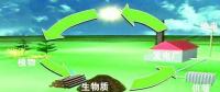 生物質(zhì)是替代核電、火電 彌補(bǔ)天然氣缺口的一種重要新能源