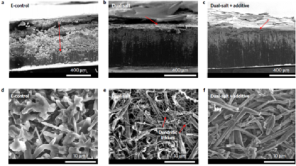 專題報(bào)道：Imide-Orthoborate雙鹽電解質(zhì)體系抑制鋰枝晶及提升鋰金屬庫(kù)侖效率的研究