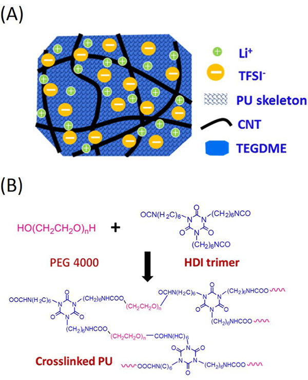 基于電子/離子雙傳導凝膠顆粒結構的高容量和長壽命鋰氧氣電池正極