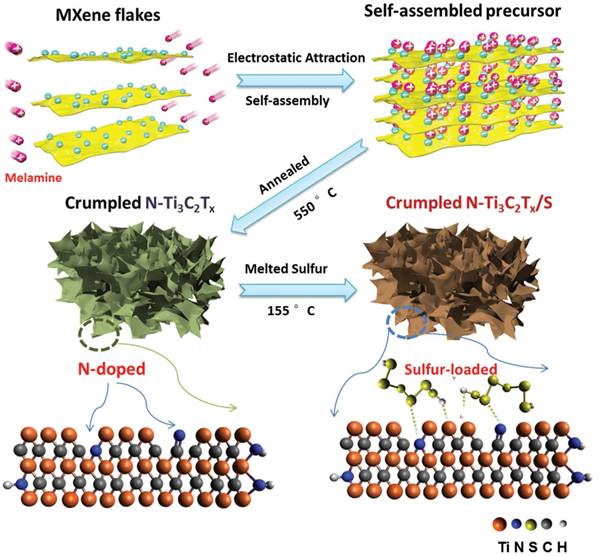 Adv. Energy Mater.：含氮的褶皺狀MXene在鋰硫電池上的應(yīng)用研究