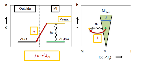 鹵化物鈣鈦礦離子傳導(dǎo)的可調(diào)光電效應(yīng)及其對(duì)光分解的影響