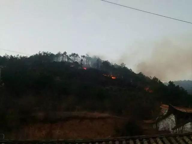 聽說最近輸電線路和鐵塔“火”啦！