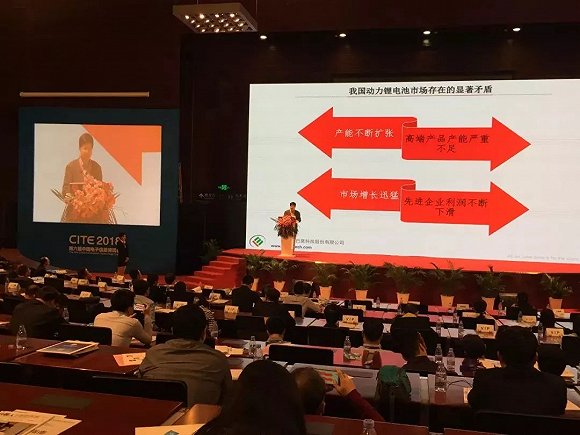 中國動(dòng)力電池表面光鮮 整體盈利困難