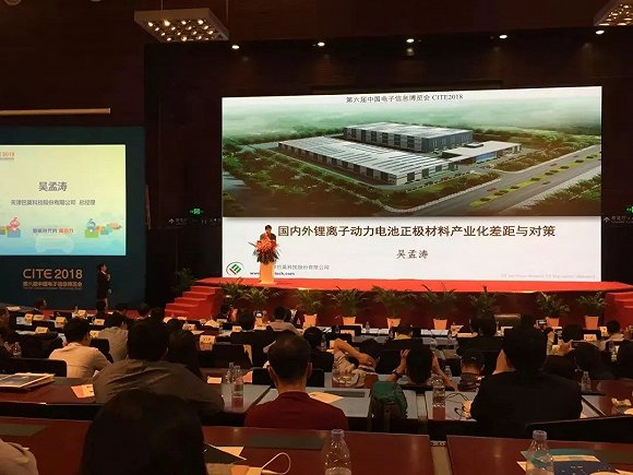 中國動(dòng)力電池表面光鮮 整體盈利困難