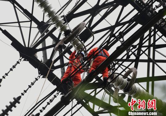 圖為電力工人在70多米高空作業(yè)，為特高壓復(fù)奉線重慶段進(jìn)行八年來首次大修?！≈芤?攝