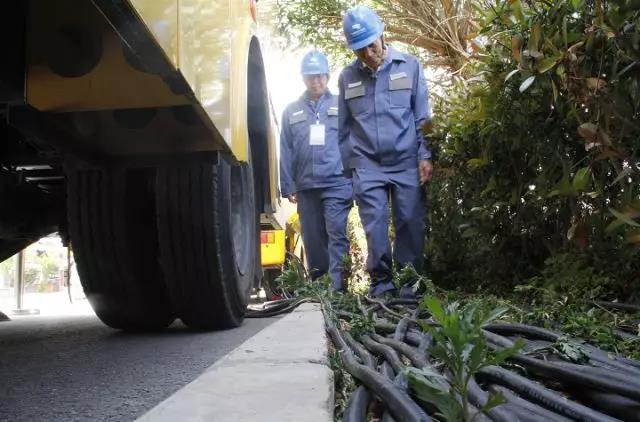 楚雄州慶，跟著小赫茲一起湊熱鬧！