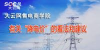 有關(guān)“降電價(jià)”的看法和建議