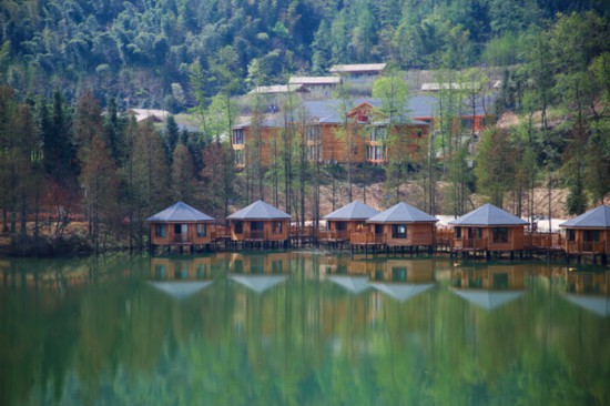 綠水青山=金山銀山 安徽“林長(zhǎng)制”的探索與實(shí)踐