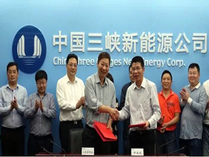 三峽新能源攜手中南院加快推進海上風電業(yè)務(wù)