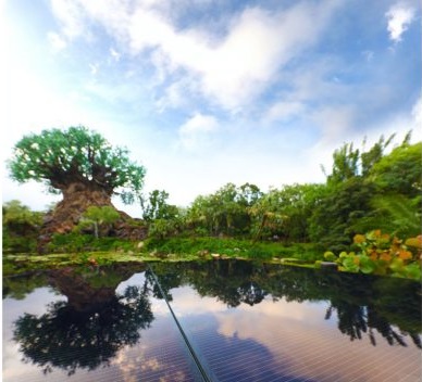 太陽能樂園來了！華特迪士尼將建50MW光伏電站