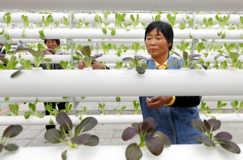 “互聯(lián)網(wǎng)+”助力智慧農(nóng)業(yè)