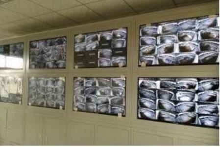 智能化養(yǎng)豬系統(tǒng)，現(xiàn)代化農(nóng)業(yè)發(fā)展之路