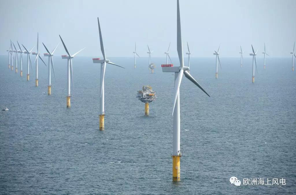 一舉超越“倫敦矩陣”！世界裝機容量最大單體海上風場又在英國誕生