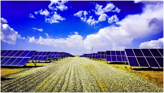 市場風(fēng)向波云詭譎 光伏企業(yè)竟跨界成風(fēng)？