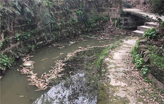 重慶：發(fā)展“美麗經(jīng)濟(jì)” 建設(shè)創(chuàng)新之城