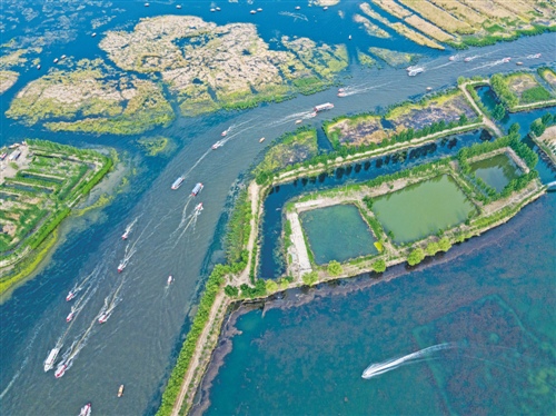 白洋淀水域生態(tài)修復(fù)示范項(xiàng)目啟動(dòng)環(huán)保上市公司布局雄安新區(qū)