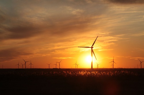 風(fēng)電市場冰火兩重天 國際化進程促破繭成蝶