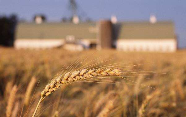 人民日報：“互聯(lián)網(wǎng)+農(nóng)村”亟待提速 網(wǎng)絡入戶遇兩大難題