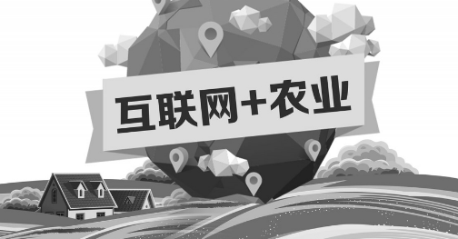 A5創(chuàng)業(yè)項(xiàng)目推薦：互聯(lián)網(wǎng)+農(nóng)業(yè)能碰撞出怎樣的新發(fā)展？