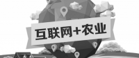 A5創(chuàng)業(yè)項目推薦：互聯(lián)網(wǎng)+農(nóng)業(yè)能碰撞出怎樣的新發(fā)展？