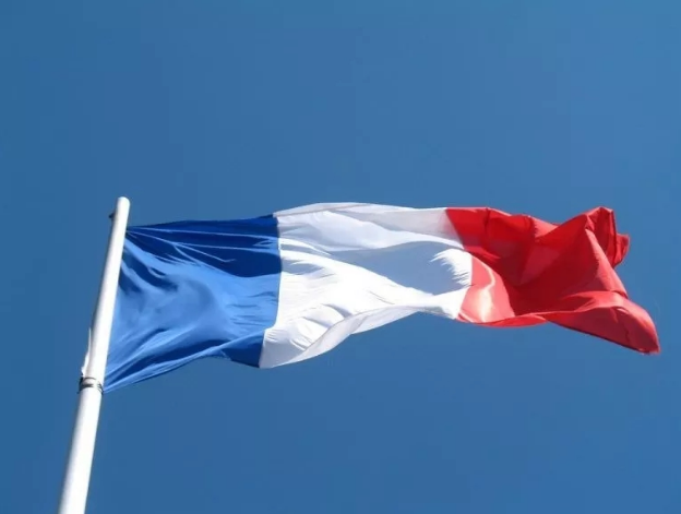 法國(guó)總統(tǒng)宣布——海上風(fēng)電降電價(jià)！