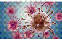 細(xì)菌也能作太陽(yáng)能電池，光轉(zhuǎn)化電流密度創(chuàng)紀(jì)錄