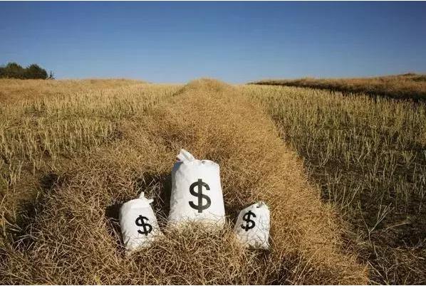 顛覆！裂變！賦能！互聯(lián)網(wǎng)+農(nóng)業(yè)領(lǐng)域的“豬飛起來了”