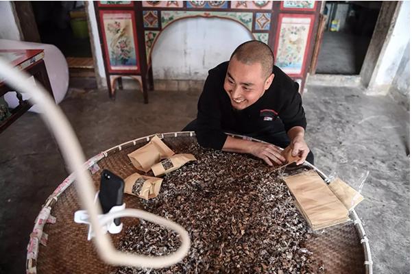 顛覆！裂變！賦能！互聯(lián)網(wǎng)+農(nóng)業(yè)領(lǐng)域的“豬飛起來了”