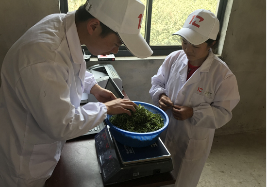 一乙雙平臺探索“互聯(lián)網(wǎng)+農(nóng)業(yè)” 促進城鄉(xiāng)共同發(fā)展