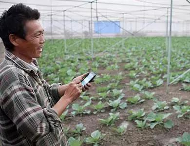 國(guó)務(wù)院常務(wù)會(huì)議鼓勵(lì)的“互聯(lián)網(wǎng)+農(nóng)業(yè)”創(chuàng)新手段，幫你找到了案例
